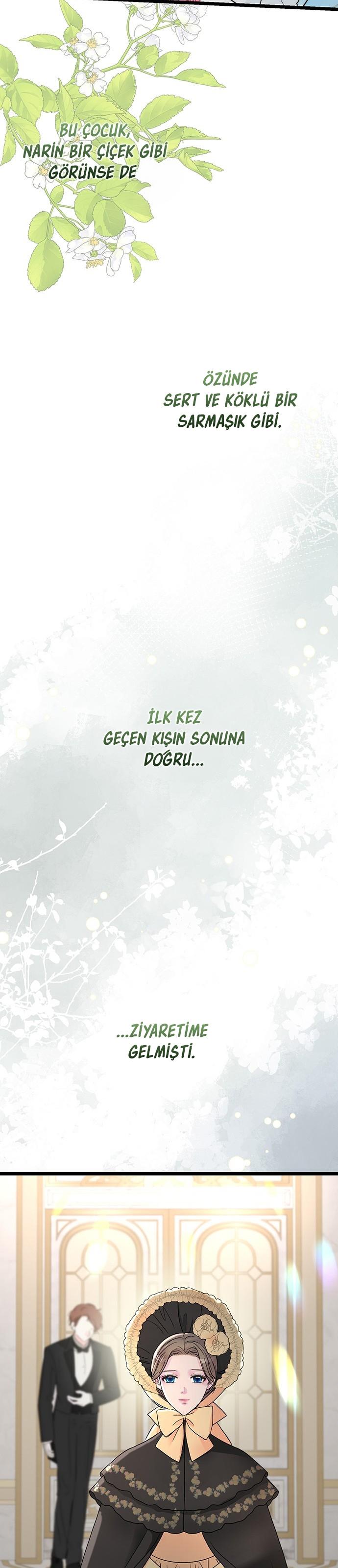5-cm2xdfr0s0001tt82570od8ls
