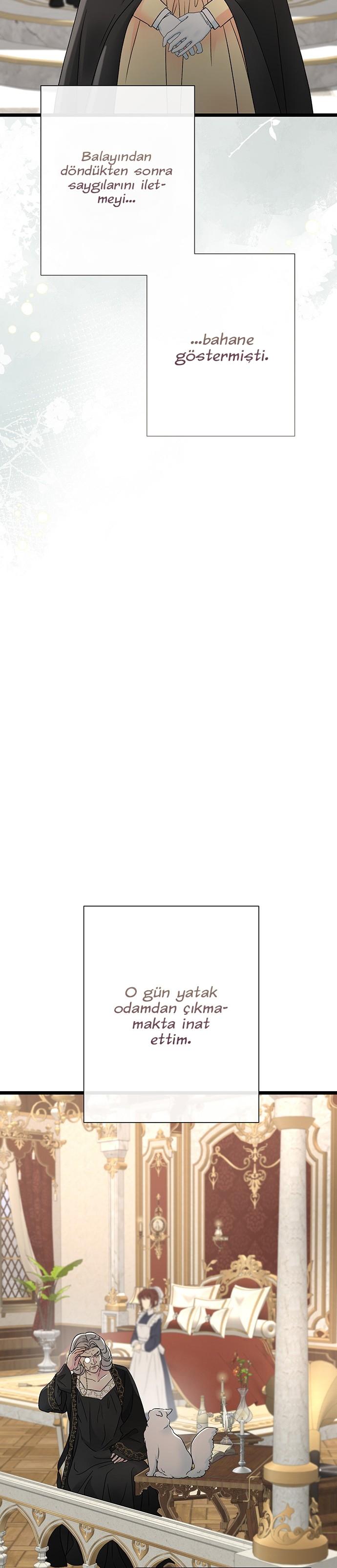 6-cm2xdfr0s0001tt82570od8ls