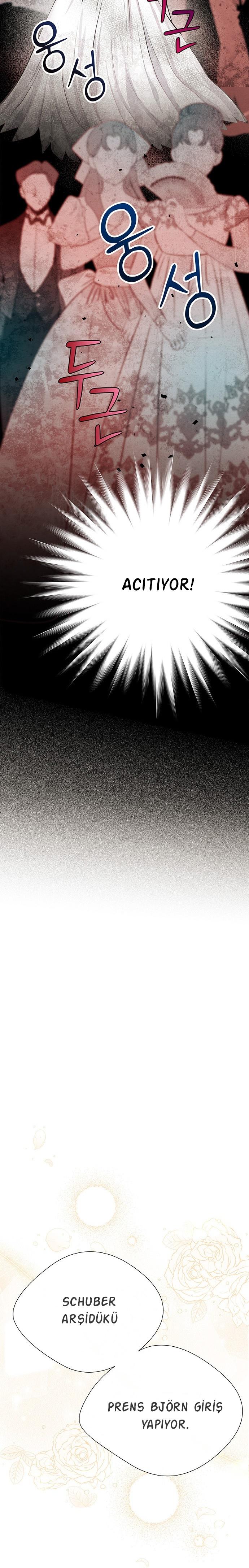 23-cm2xdfr0s0001tt82570od8ls