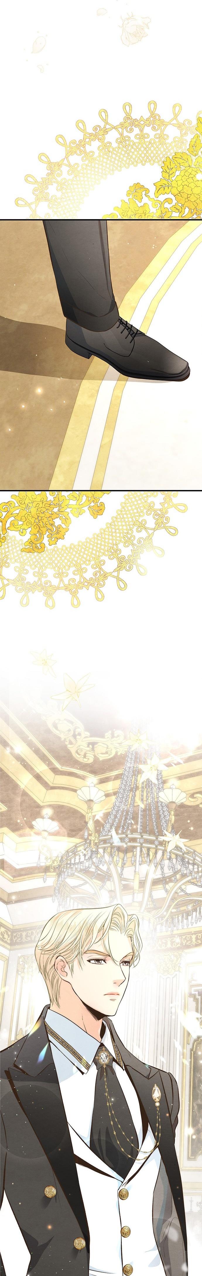 24-cm2xdfr0s0001tt82570od8ls