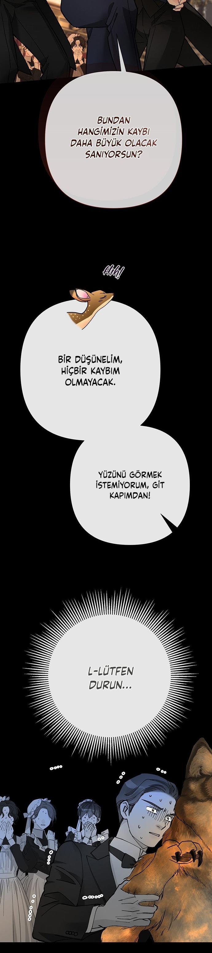 11-cm2xdfr0s0001tt82570od8ls