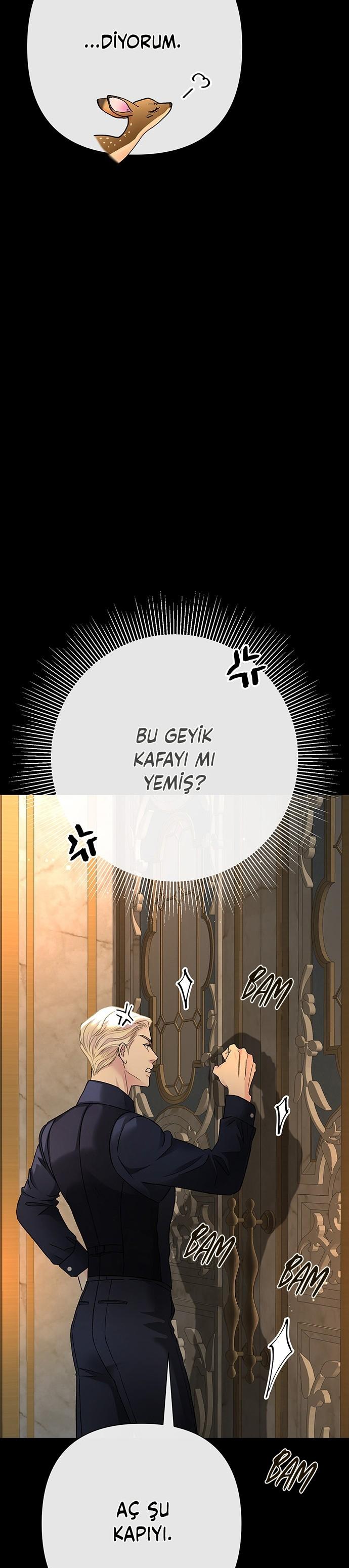 6-cm2xdfr0s0001tt82570od8ls