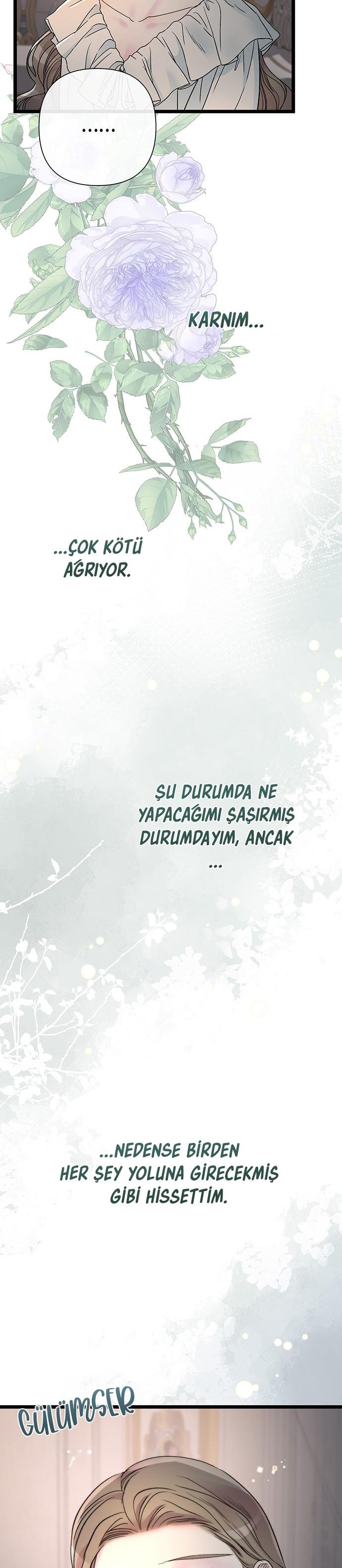 36-cm2xdfr0s0001tt82570od8ls