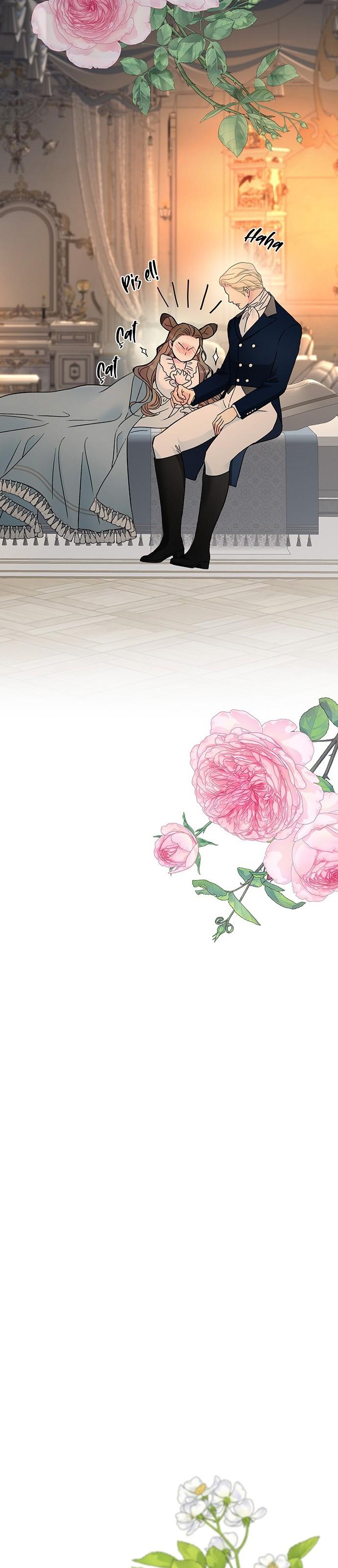 29-cm2xdfr0s0001tt82570od8ls