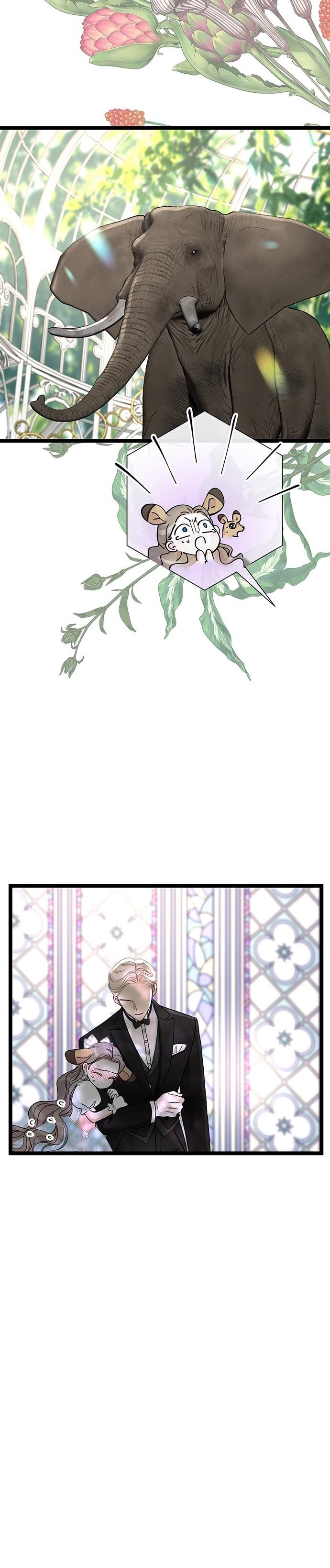 27-cm2xdfr0s0001tt82570od8ls