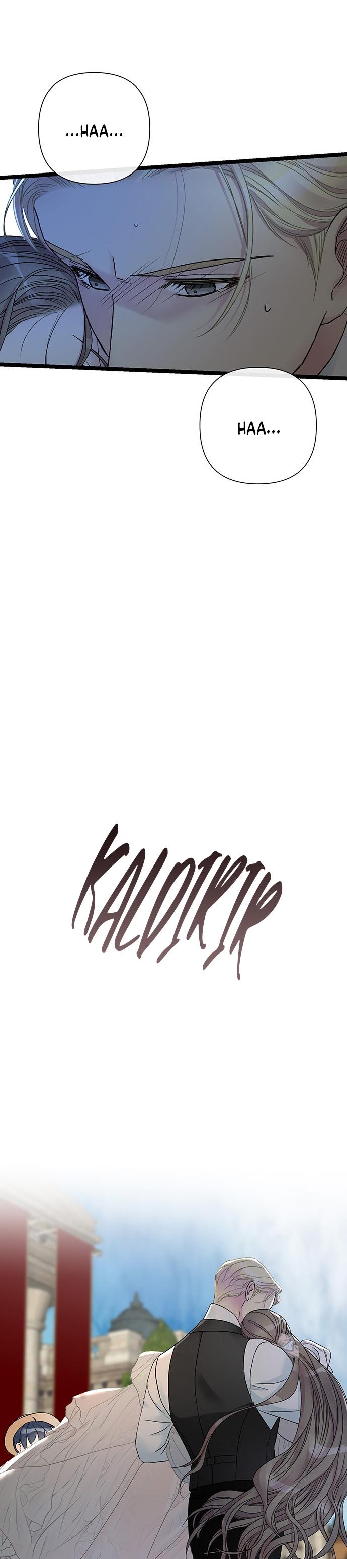 11-cm2xdfr0s0001tt82570od8ls