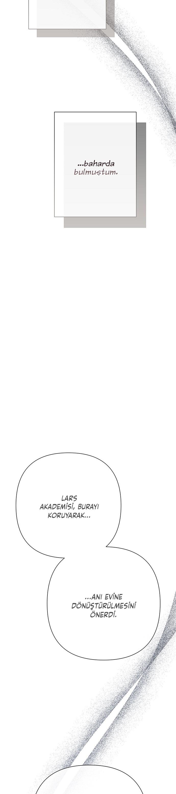 20-cm2xdfr0s0001tt82570od8ls