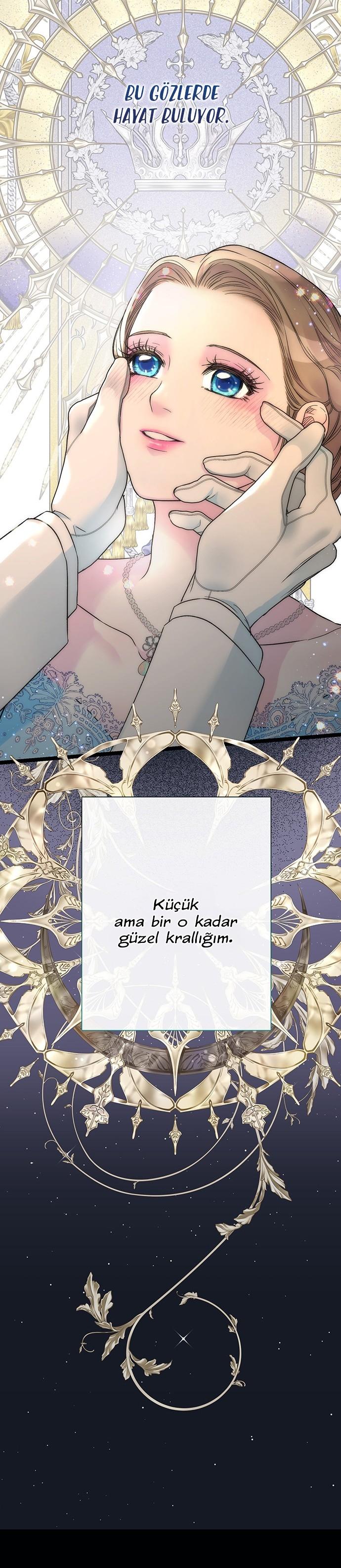 47-cm2xdfr0s0001tt82570od8ls