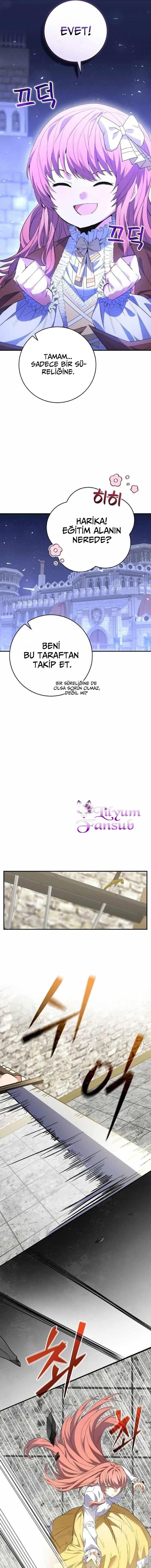 8-cmnq2268807i4ucwa0pciz3a1