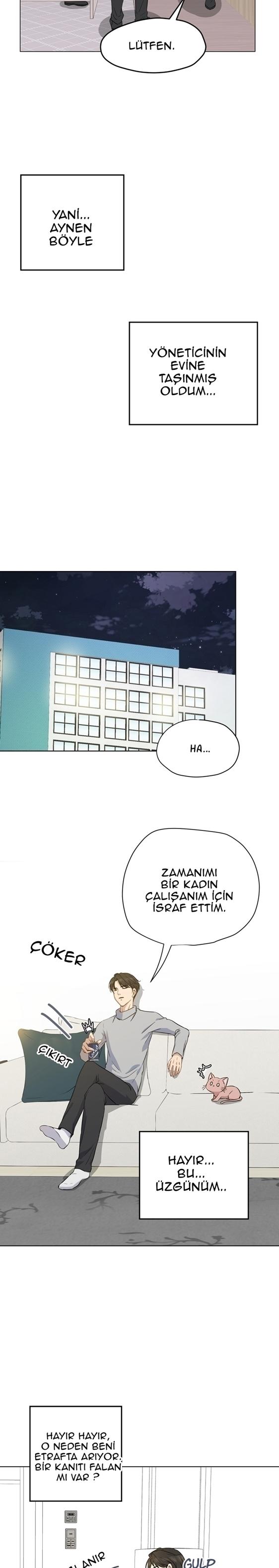 21-cm2xdfr0s0001tt82570od8ls