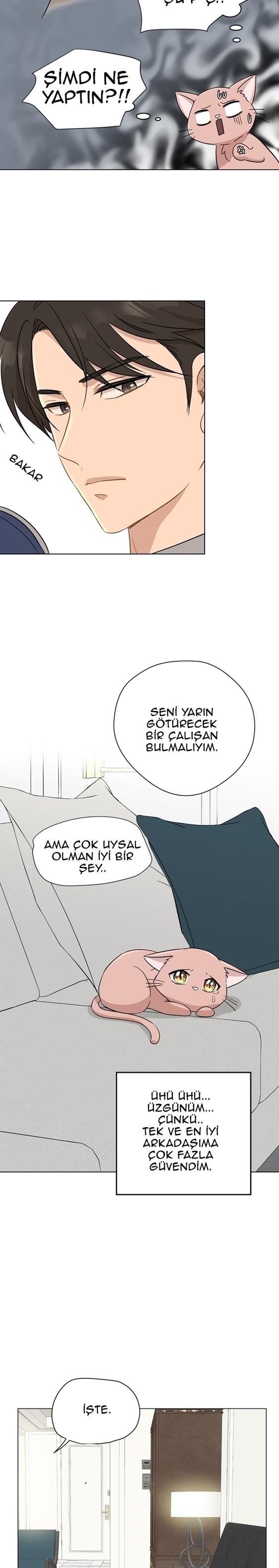 23-cm2xdfr0s0001tt82570od8ls