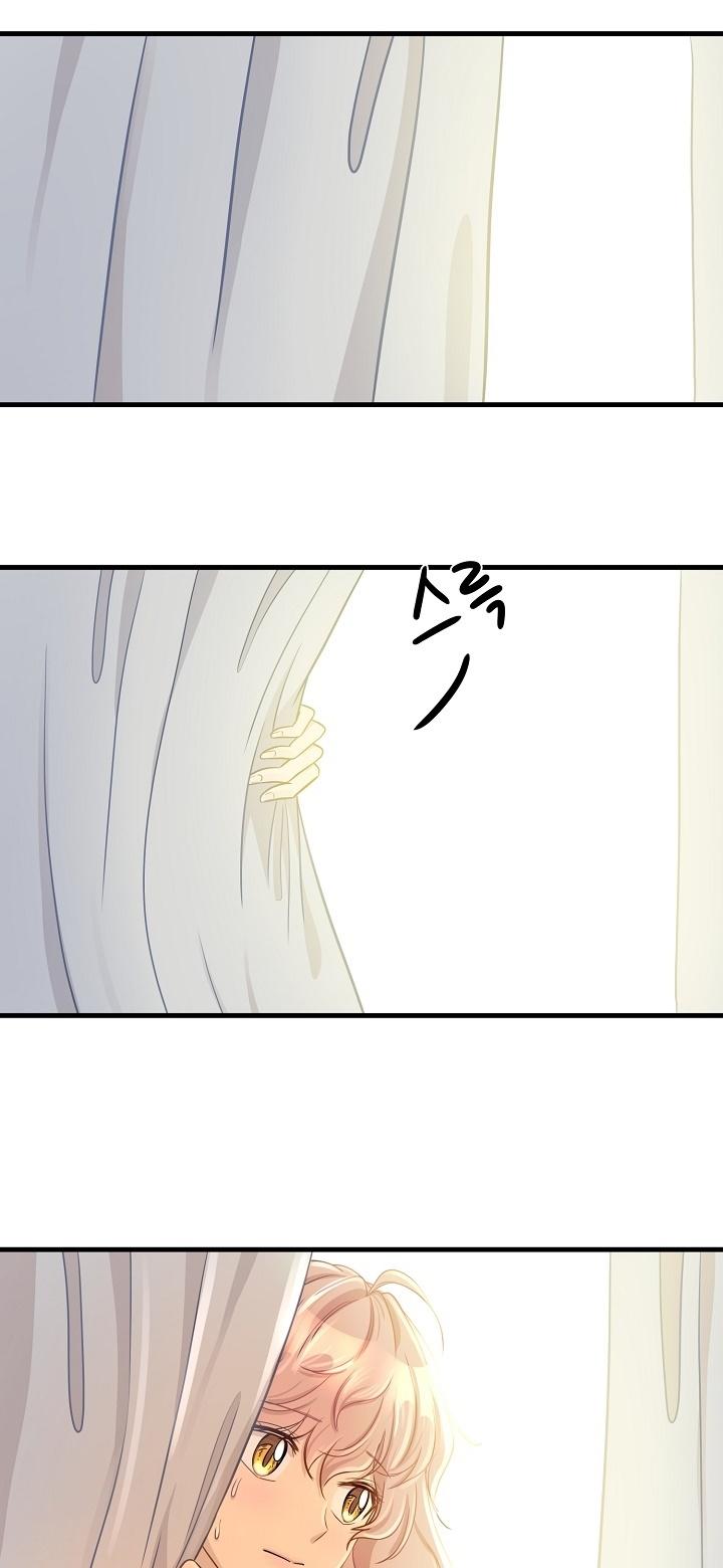 27-cm2xdfr0s0001tt82570od8ls