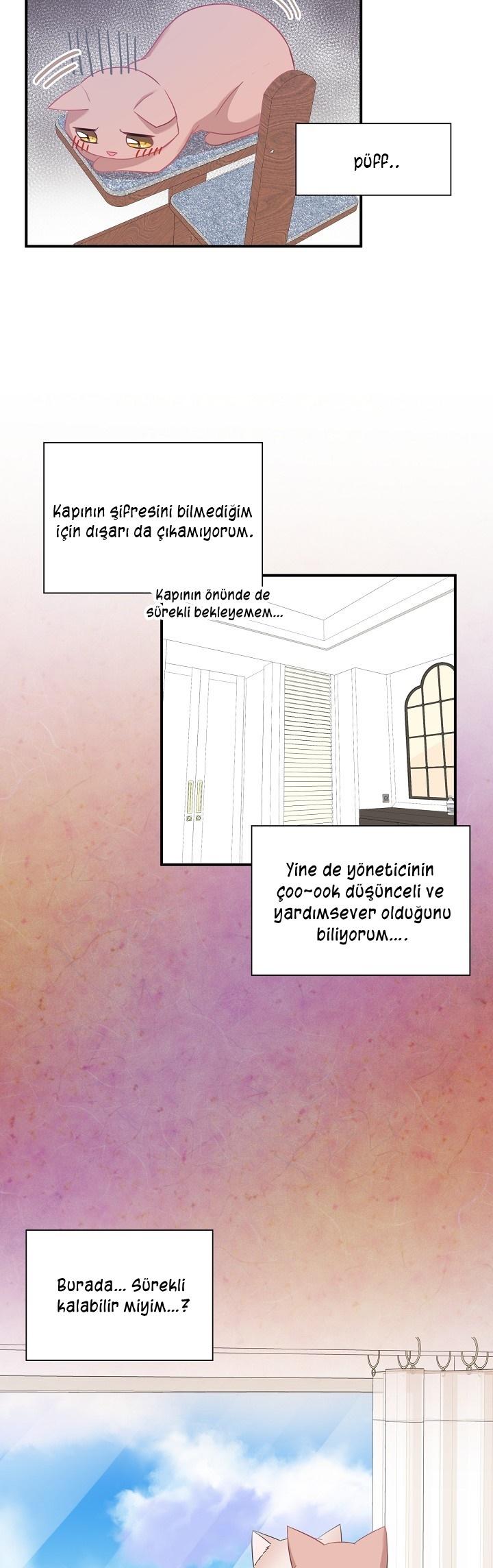 6-cm2xdfr0s0001tt82570od8ls
