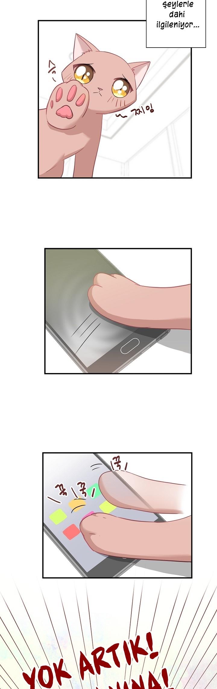9-cm2xdfr0s0001tt82570od8ls