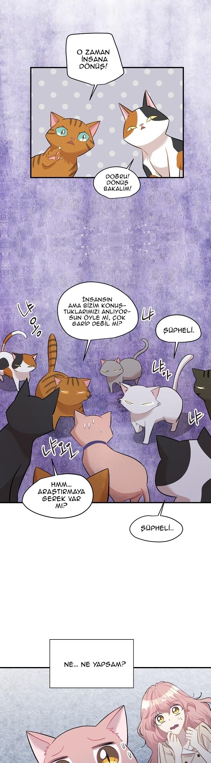 11-cm2xdfr0s0001tt82570od8ls