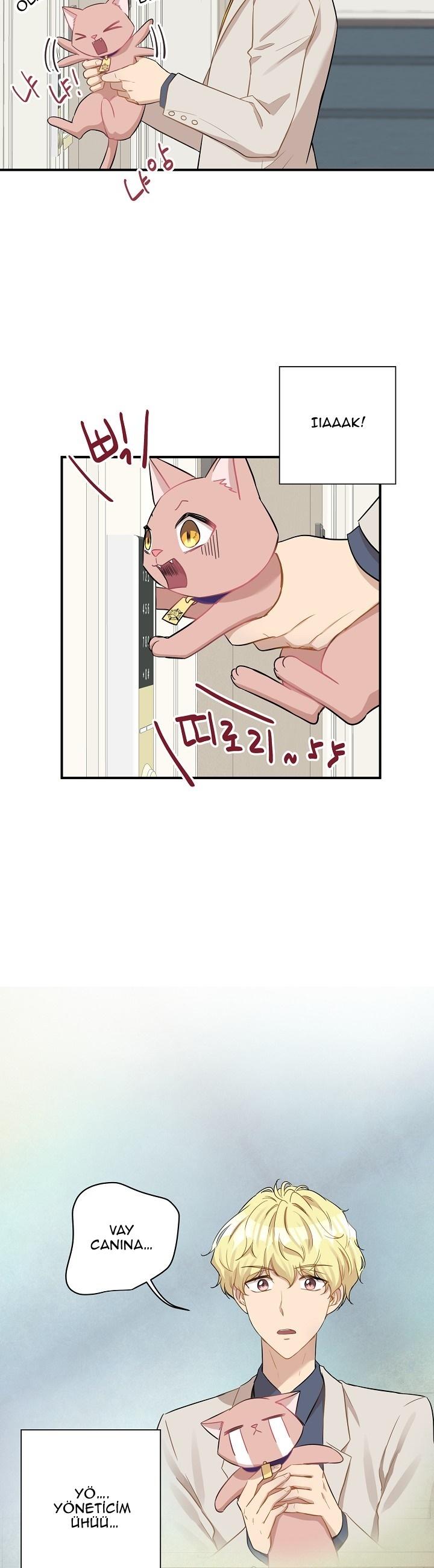 16-cm2xdfr0s0001tt82570od8ls