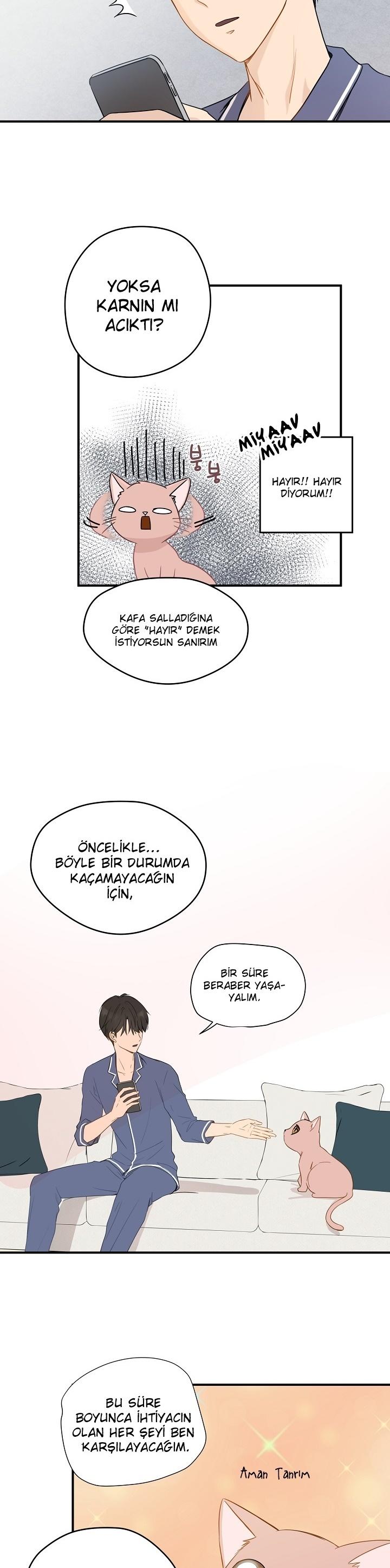 5-cm2xdfr0s0001tt82570od8ls