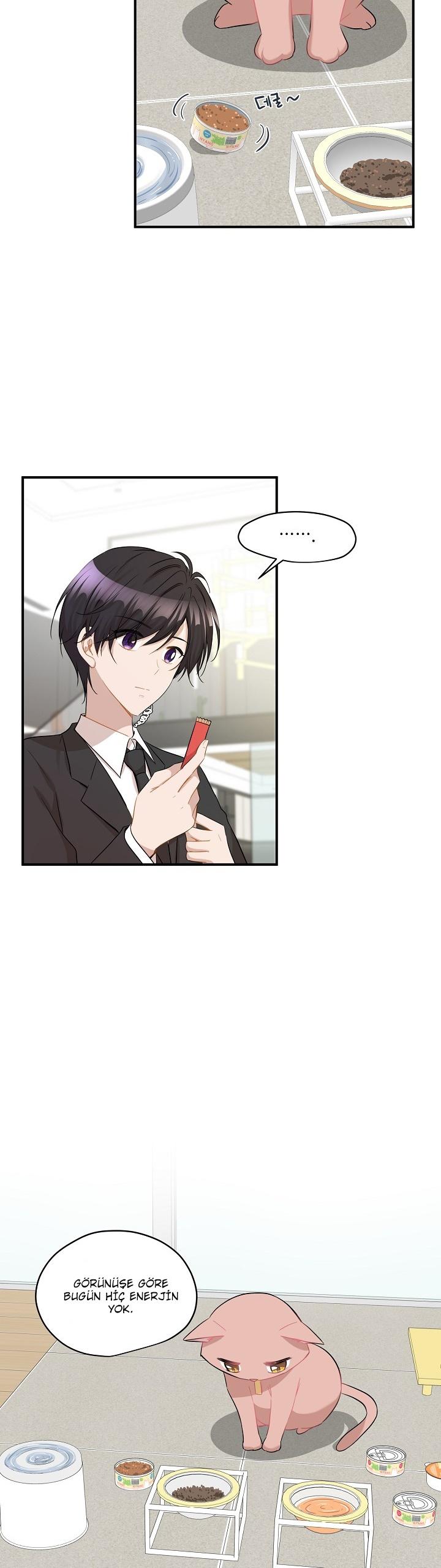 20-cm2xdfr0s0001tt82570od8ls