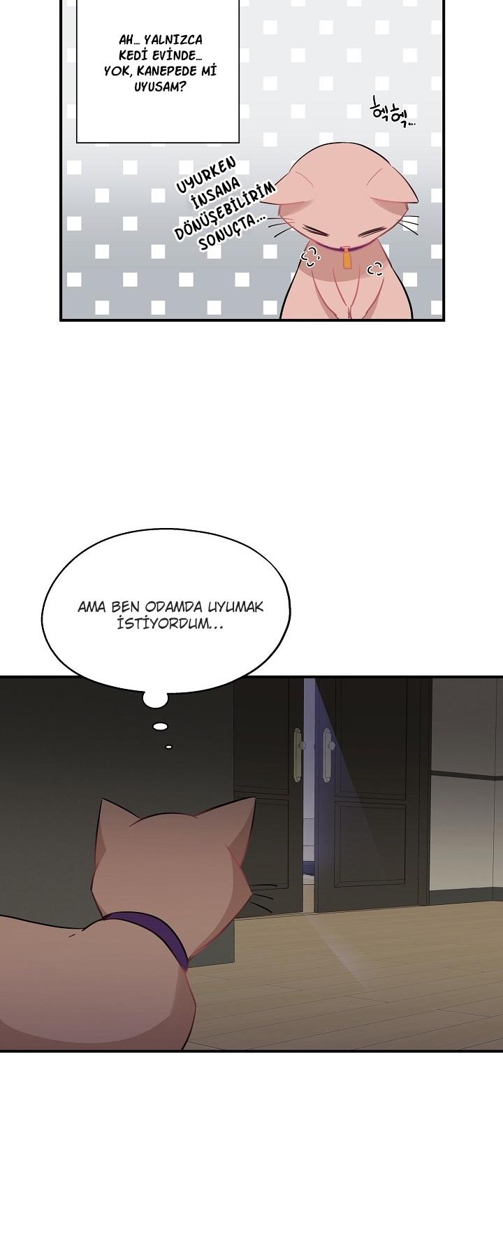 4-cm2xdfr0s0001tt82570od8ls