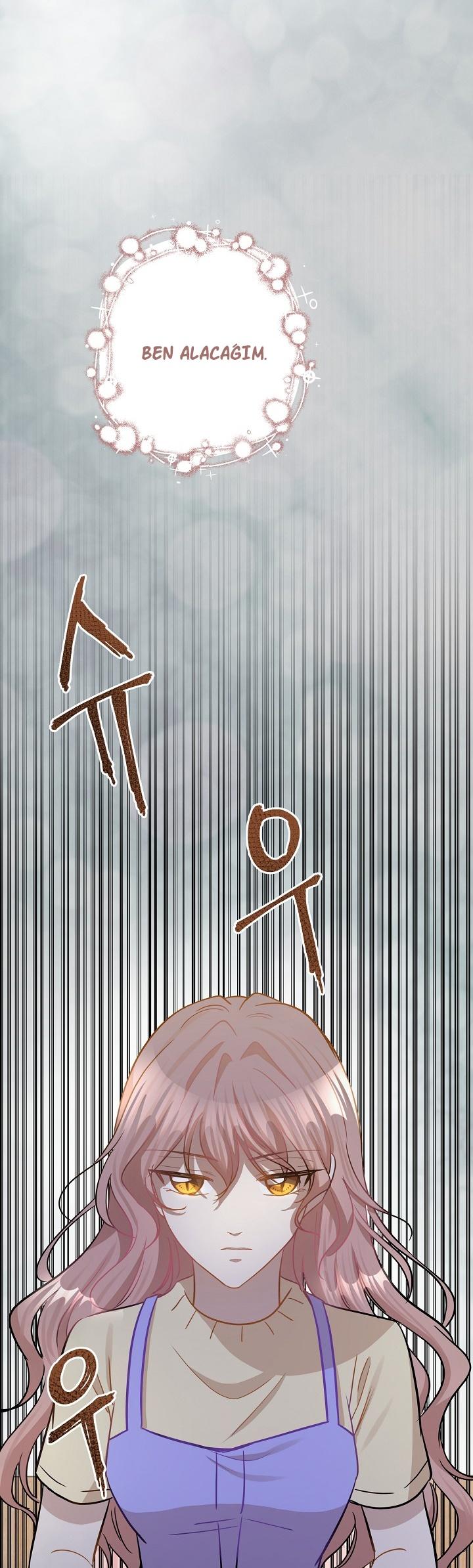 13-cm2xdfr0s0001tt82570od8ls