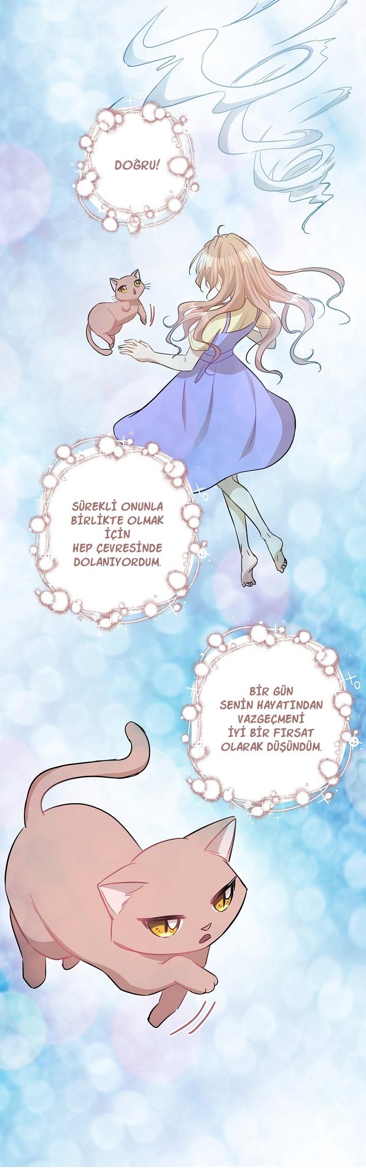 9-cm2xdfr0s0001tt82570od8ls