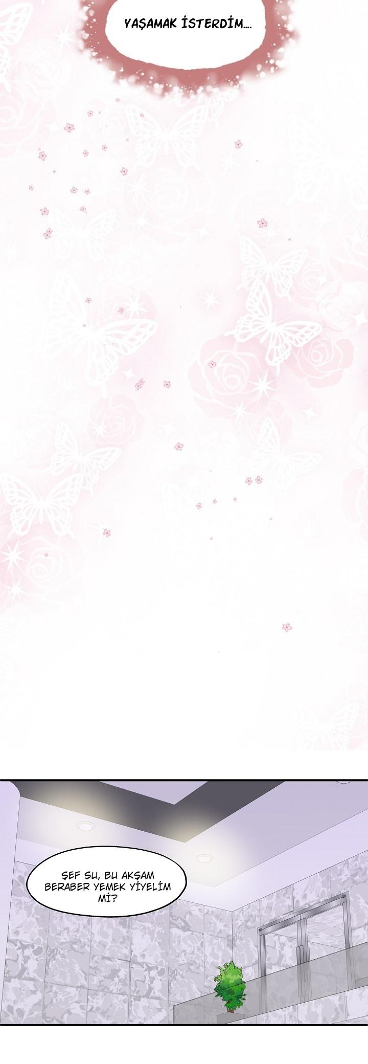 35-cm2xdfr0s0001tt82570od8ls