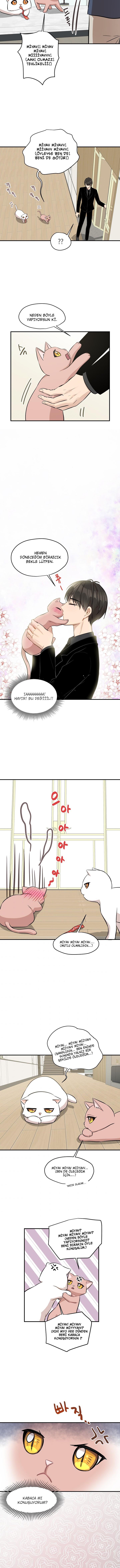 10-cm2xdfr0s0001tt82570od8ls