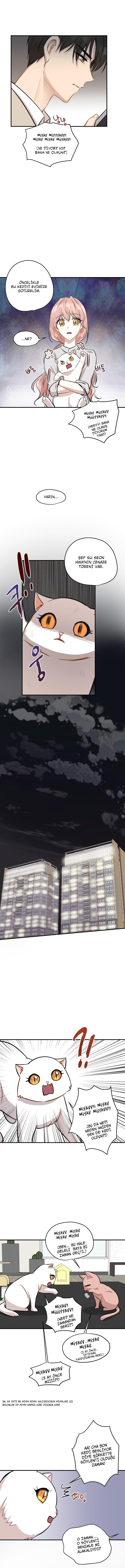 4-cm2xdfr0s0001tt82570od8ls