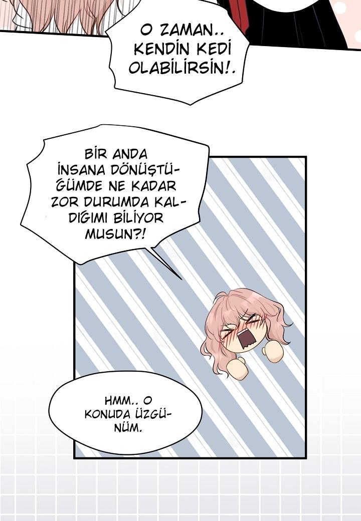 23-cm2xdfr0s0001tt82570od8ls