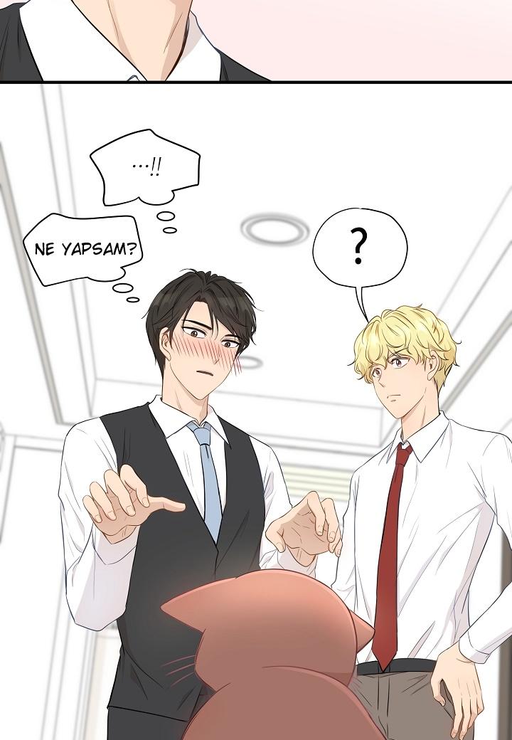43-cm2xdfr0s0001tt82570od8ls
