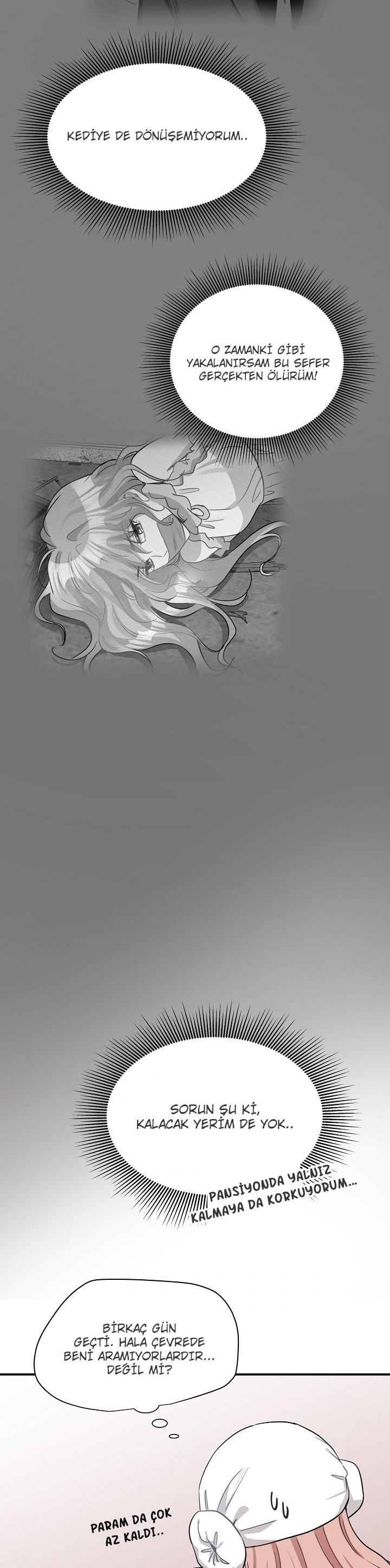 4-cm2xdfr0s0001tt82570od8ls
