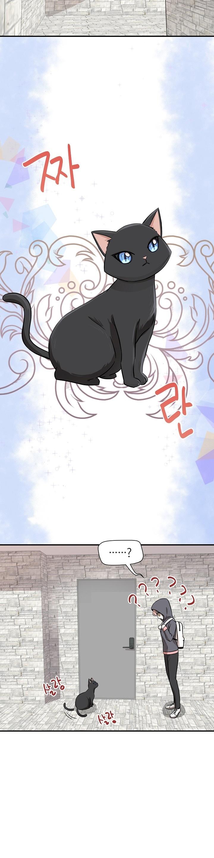 11-cm2xdfr0s0001tt82570od8ls