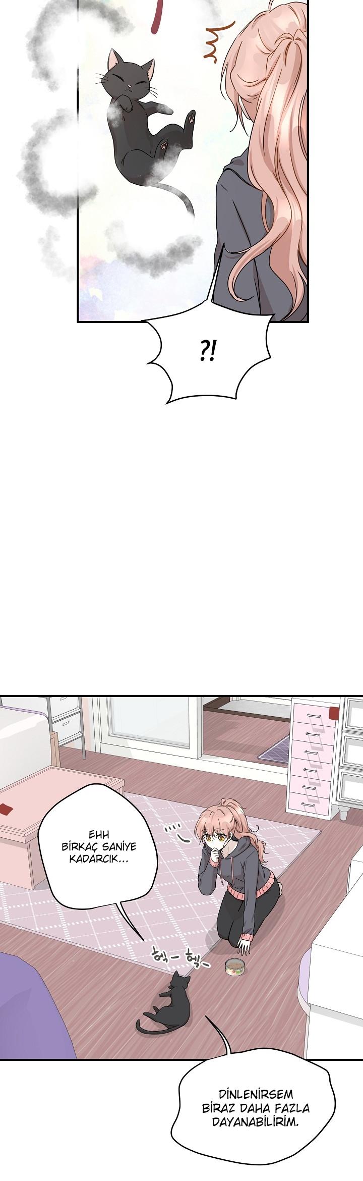 4-cm2xdfr0s0001tt82570od8ls