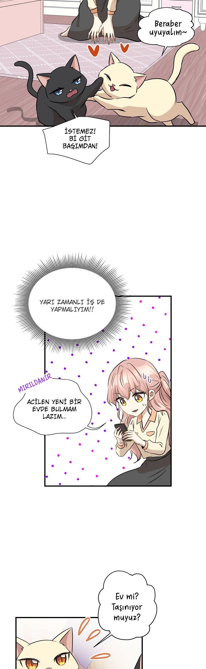 24-cm2xdfr0s0001tt82570od8ls