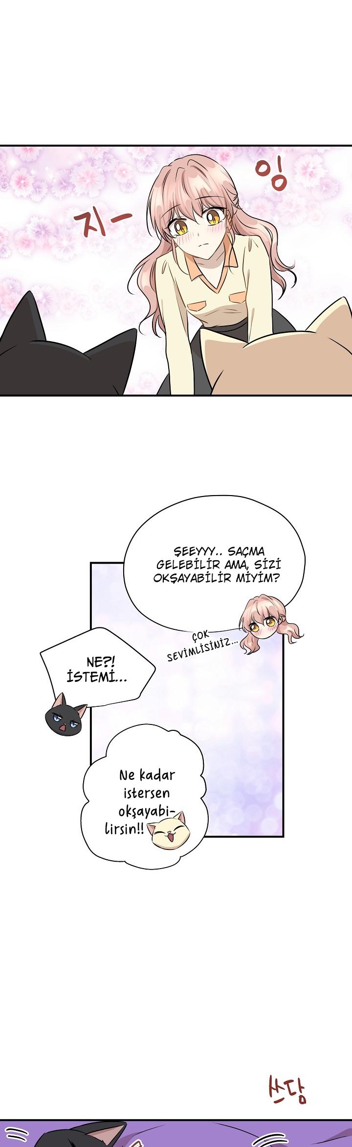 27-cm2xdfr0s0001tt82570od8ls