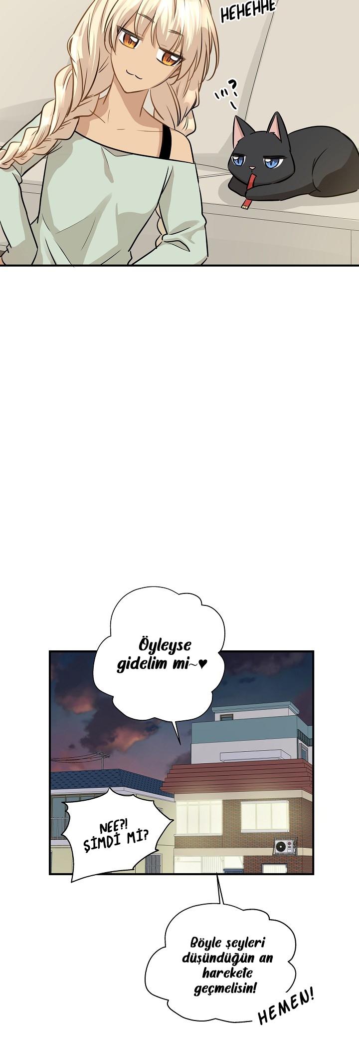 33-cm2xdfr0s0001tt82570od8ls