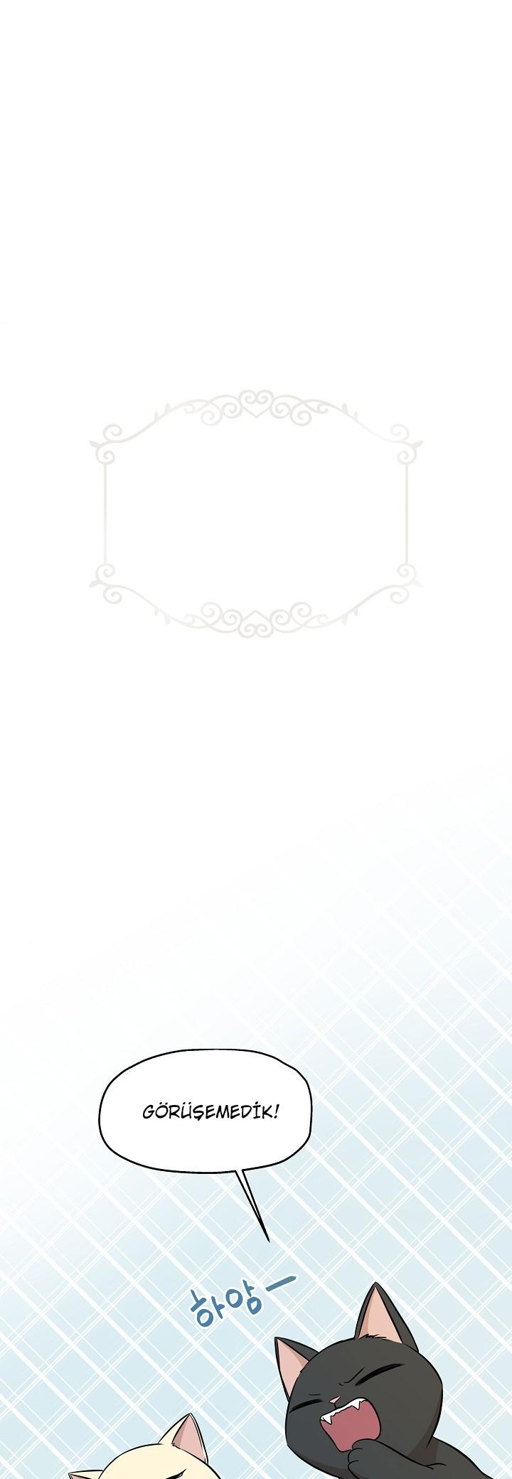 2-cm2xdfr0s0001tt82570od8ls