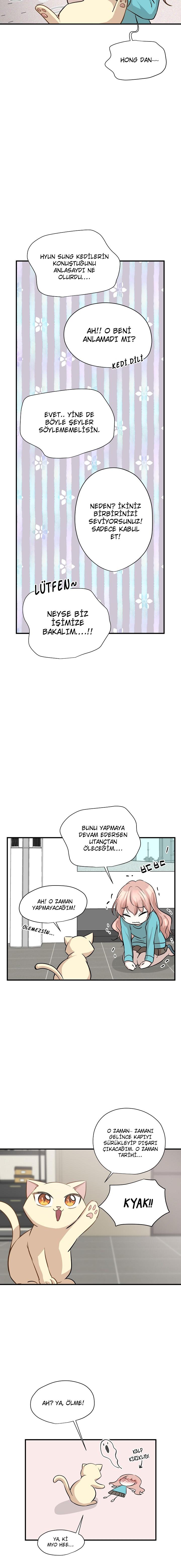 9-cm2xdfr0s0001tt82570od8ls