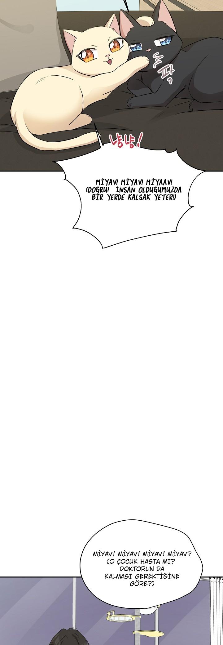 17-cm2xdfr0s0001tt82570od8ls