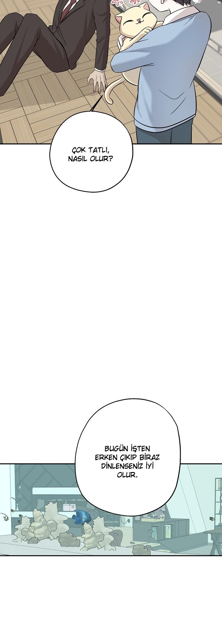 27-cm2xdfr0s0001tt82570od8ls