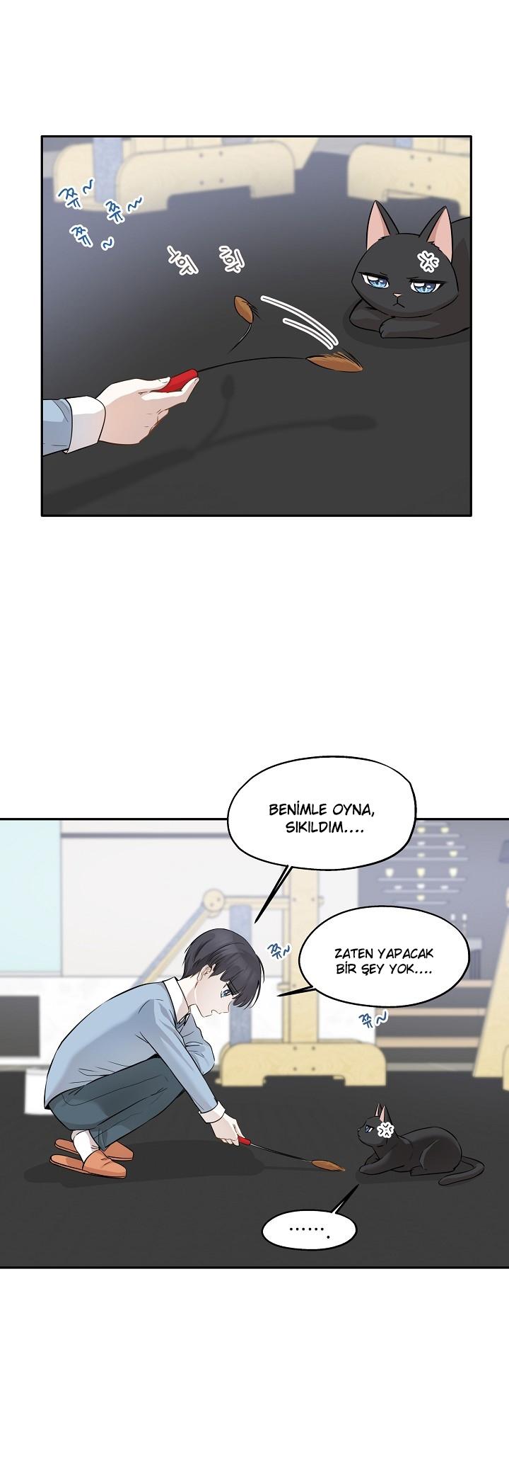 3-cm2xdfr0s0001tt82570od8ls