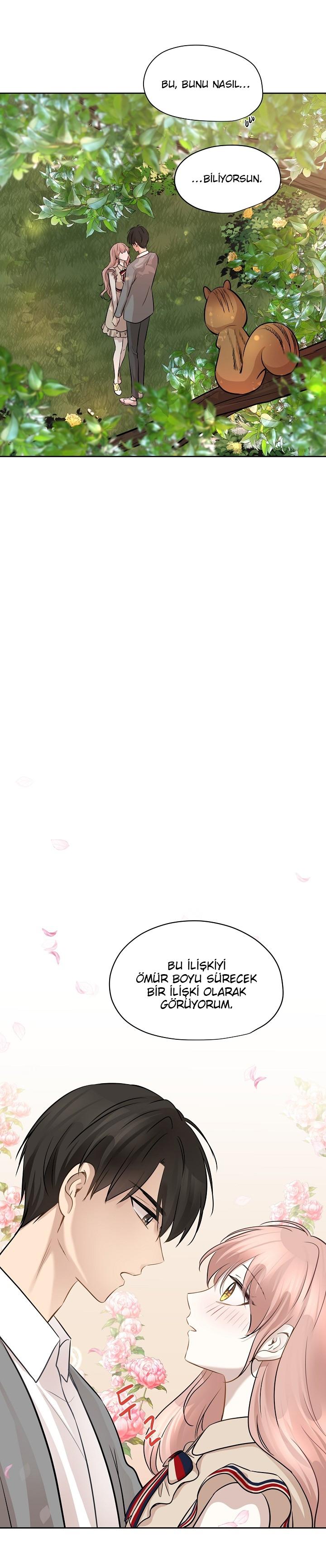 20-cm2xdfr0s0001tt82570od8ls