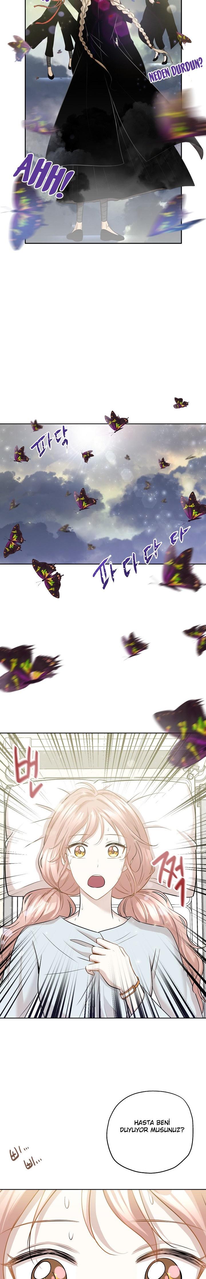 11-cm2xdfr0s0001tt82570od8ls