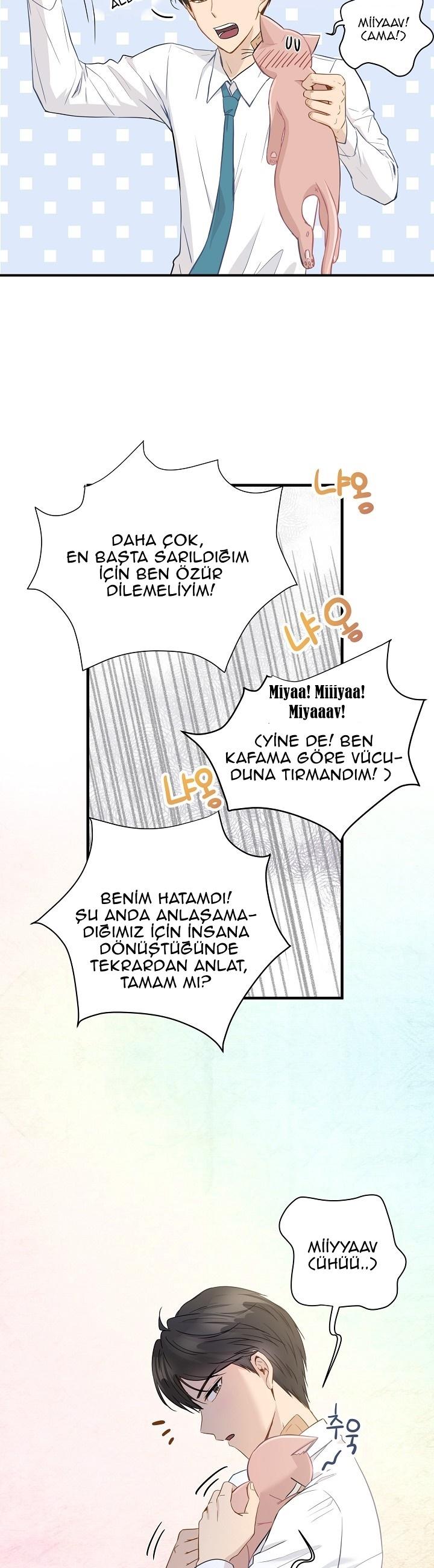4-cm2xdfr0s0001tt82570od8ls