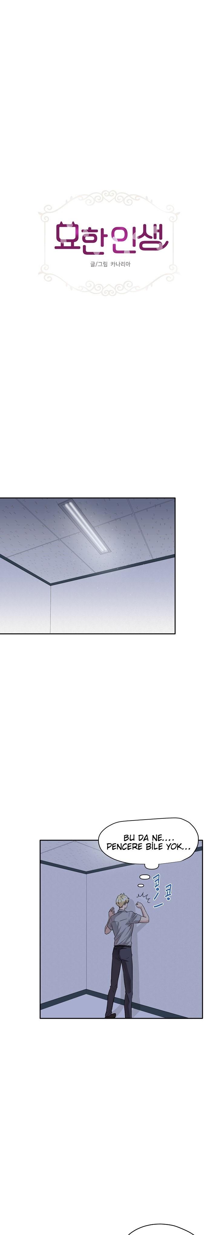 2-cm2xdfr0s0001tt82570od8ls
