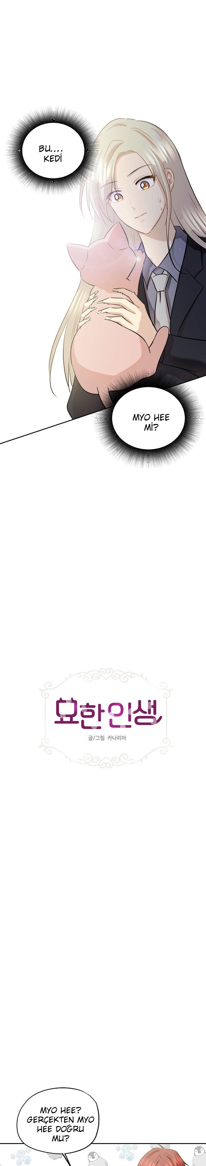 2-cm2xdfr0s0001tt82570od8ls