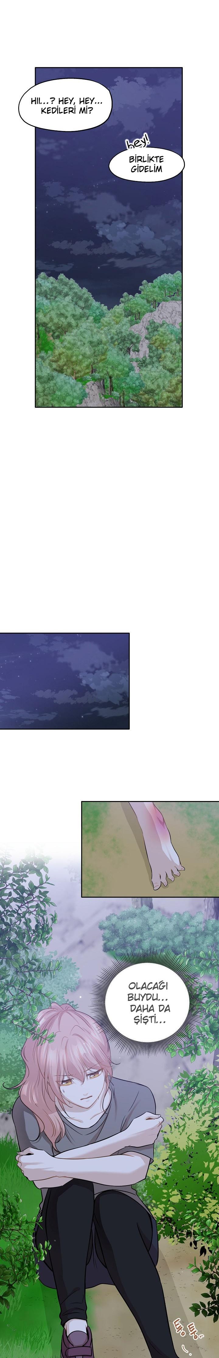 11-cm2xdfr0s0001tt82570od8ls