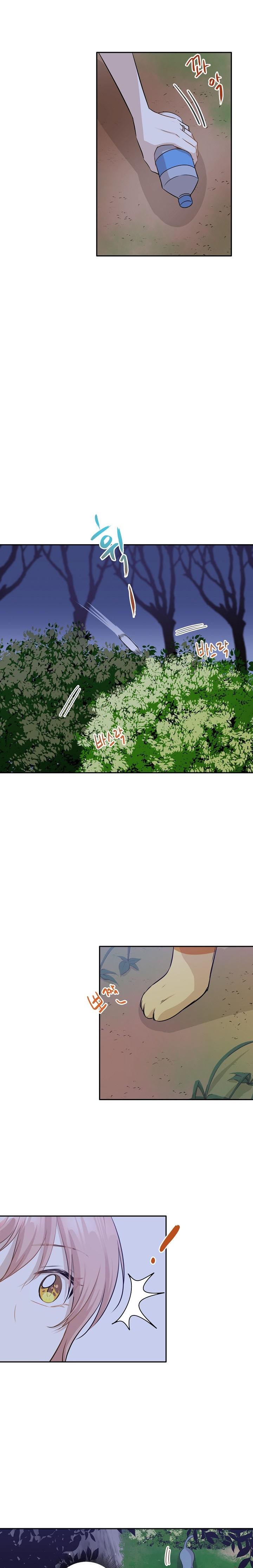 3-cm2xdfr0s0001tt82570od8ls