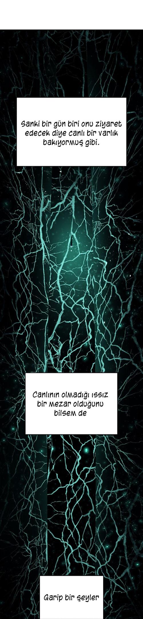 30-cmc1vvo430025phxcd4xhnki2