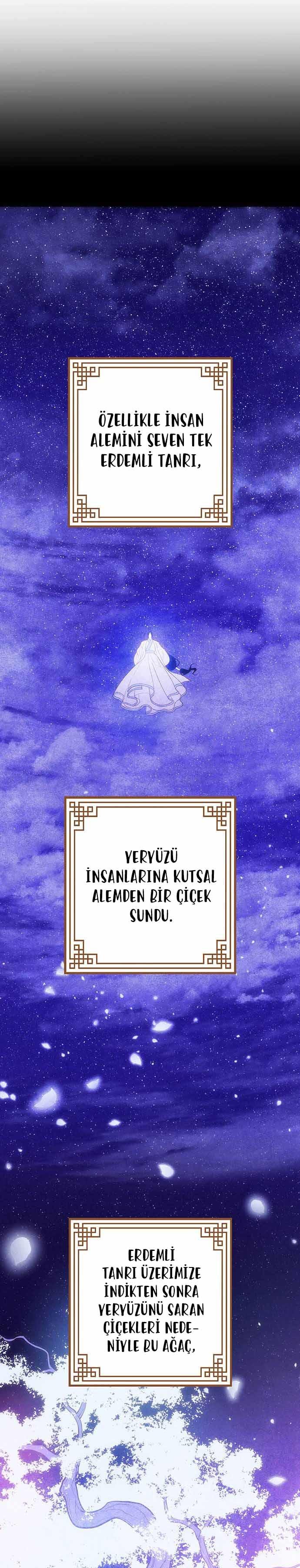 44-cmc1vvo430025phxcd4xhnki2
